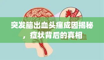 突发脑出血头痛成因揭秘，症状背后的真相