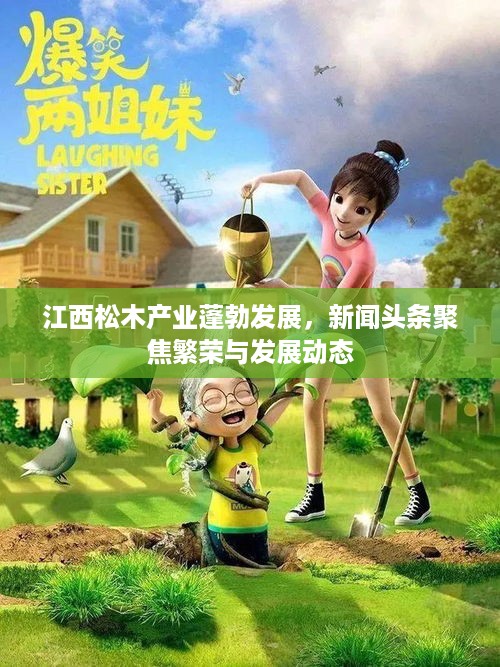 江西松木产业蓬勃发展，新闻头条聚焦繁荣与发展动态
