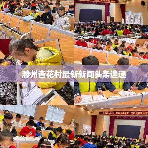 轻飞曼舞