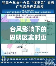 成功案例 第44页