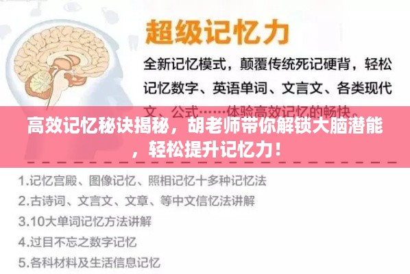 高效记忆秘诀揭秘，胡老师带你解锁大脑潜能，轻松提升记忆力！