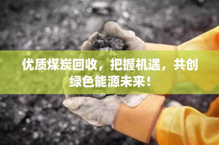 优质煤炭回收，把握机遇，共创绿色能源未来！