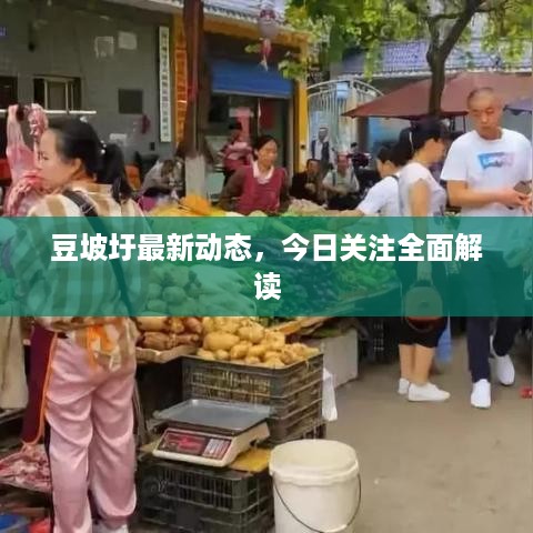 豆坡圩最新动态，今日关注全面解读