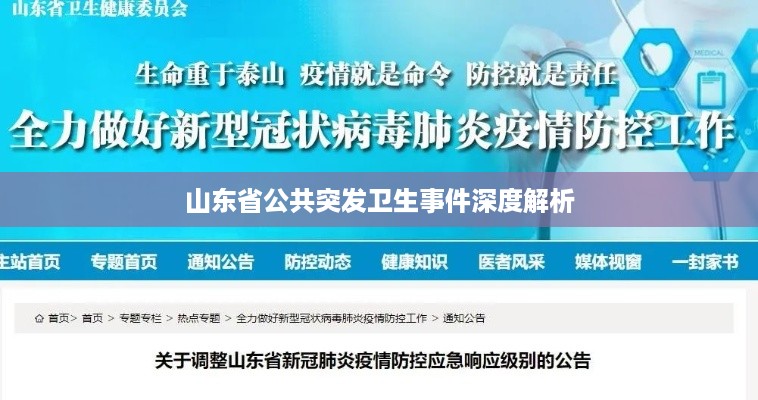 山东省公共突发卫生事件深度解析