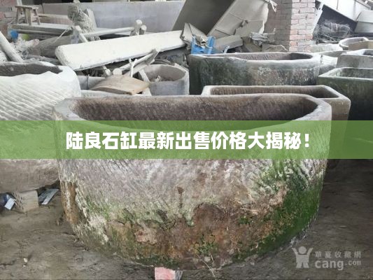 陆良石缸最新出售价格大揭秘！