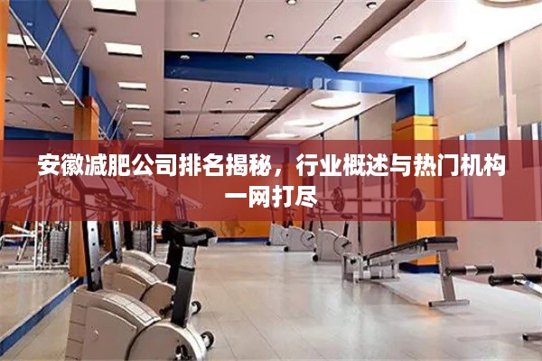 安徽减肥公司排名揭秘，行业概述与热门机构一网打尽