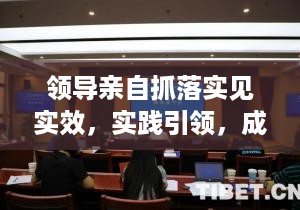 领导亲自抓落实见实效，实践引领，成效显著