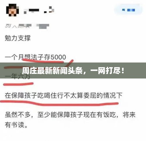 周庄最新新闻头条，一网打尽！
