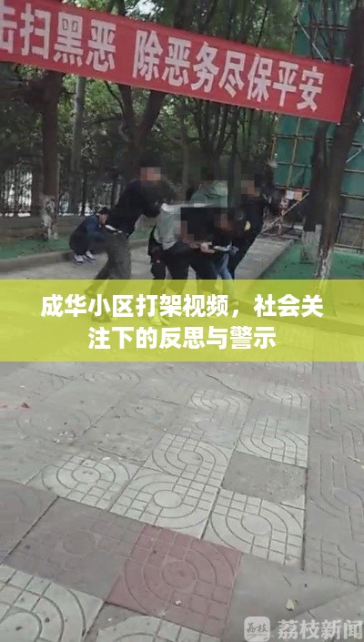 成华小区打架视频，社会关注下的反思与警示