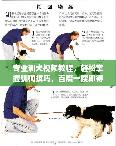 专业训犬视频教程，轻松掌握驯狗技巧，百度一搜即得！
