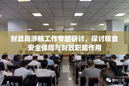 财政局涉粮工作专题研讨，探讨粮食安全保障与财政职能作用