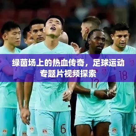 绿茵场上的热血传奇，足球运动专题片视频探索