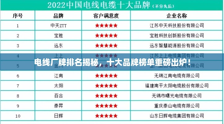 成功案例 第41页