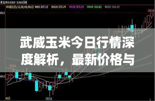 武威玉米今日行情深度解析，最新价格与市场走势分析