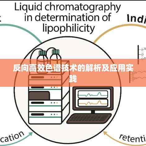 反向高效色谱技术的解析及应用实践
