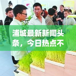 浦城最新新闻头条，今日热点不容错过！