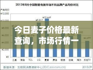 今日麦子价格最新查询，市场行情一网打尽！