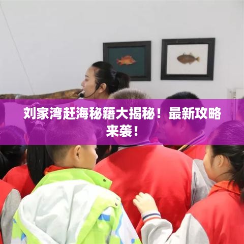 刘家湾赶海秘籍大揭秘！最新攻略来袭！