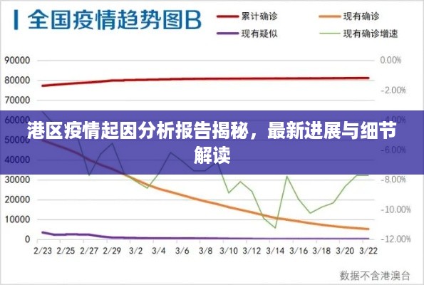 港区疫情起因分析报告揭秘，最新进展与细节解读