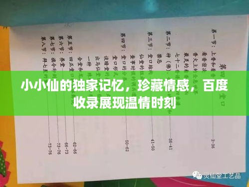 小小仙的独家记忆，珍藏情感，百度收录展现温情时刻