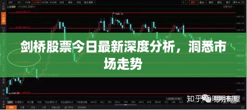 剑桥股票今日最新深度分析，洞悉市场走势