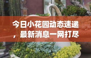 张弓拔弩