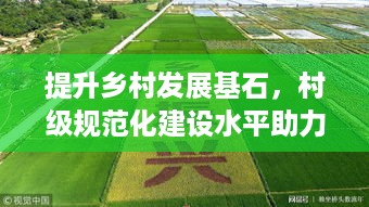 提升乡村发展基石，村级规范化建设水平助力乡村振兴之路