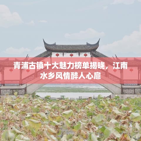 高人雅士
