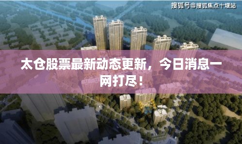 太仓股票最新动态更新，今日消息一网打尽！
