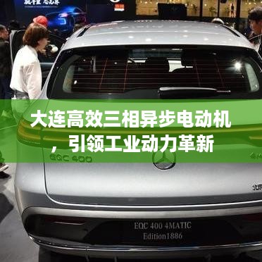 大连高效三相异步电动机，引领工业动力革新
