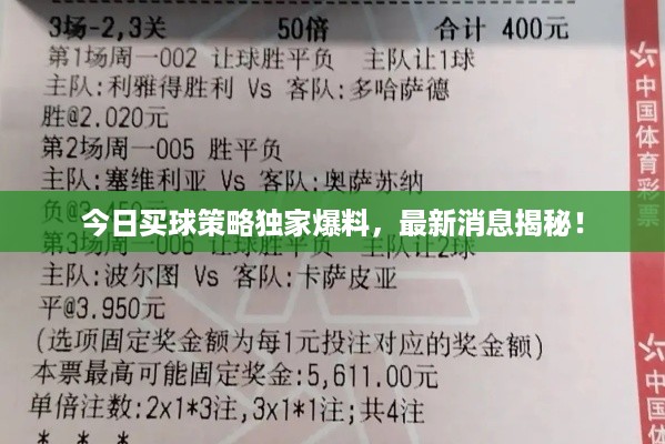 今日买球策略独家爆料，最新消息揭秘！
