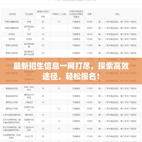 最新招生信息一网打尽，探索高效途径，轻松报名！