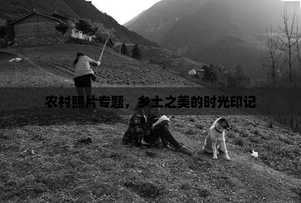 农村照片专题，乡土之美的时光印记