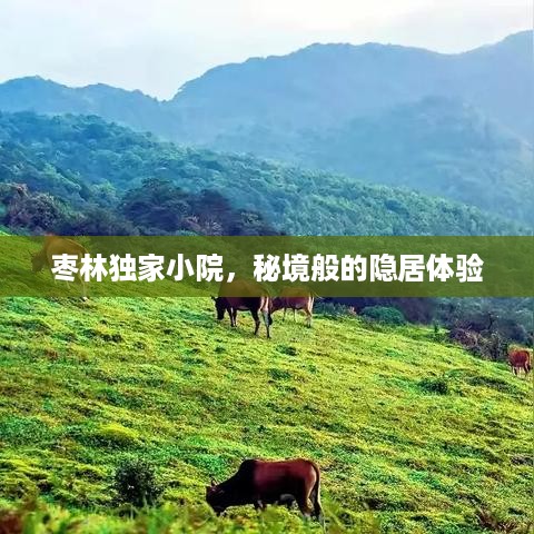 枣林独家小院，秘境般的隐居体验