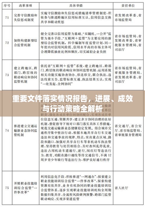 重要文件落实情况报告，进展、成效与行动策略全解析