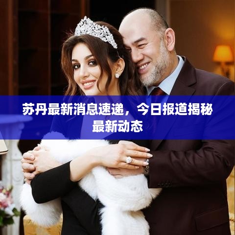 苏丹最新消息速递，今日报道揭秘最新动态