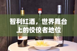 智利红酒，世界舞台上的佼佼者地位