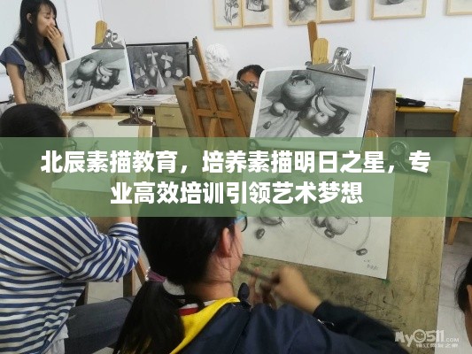 北辰素描教育，培养素描明日之星，专业高效培训引领艺术梦想