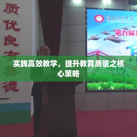 实践高效教学，提升教育质量之核心策略
