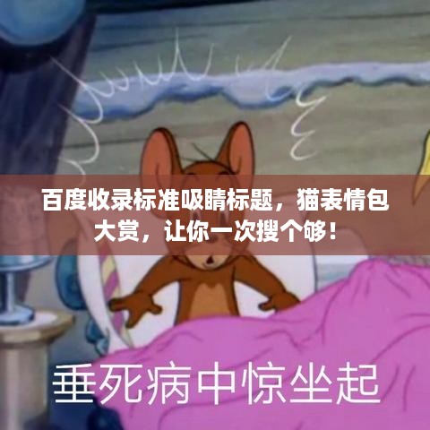 百度收录标准吸睛标题，猫表情包大赏，让你一次搜个够！