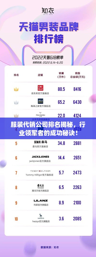 服装代销公司排名揭秘，行业领军者的成功秘诀！
