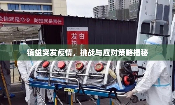 镇雄突发疫情，挑战与应对策略揭秘