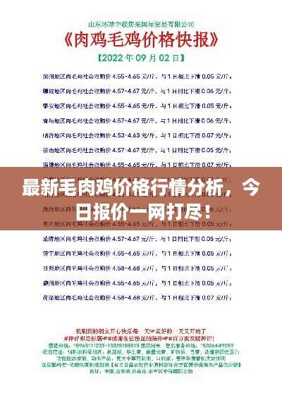 最新毛肉鸡价格行情分析，今日报价一网打尽！