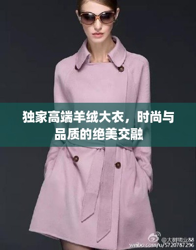 独家高端羊绒大衣，时尚与品质的绝美交融