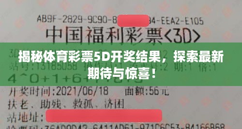 揭秘体育彩票5D开奖结果，探索最新期待与惊喜！