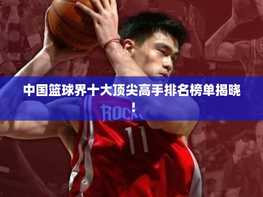 中国篮球界十大顶尖高手排名榜单揭晓！