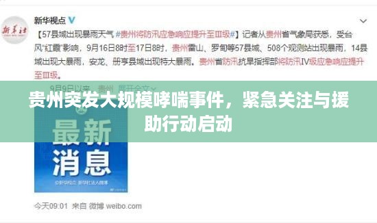 贵州突发大规模哮喘事件，紧急关注与援助行动启动