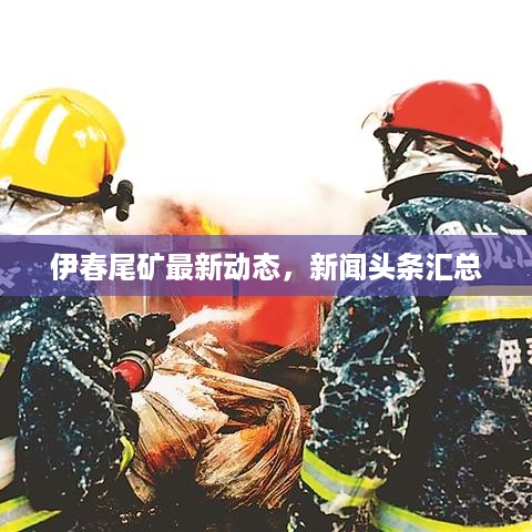 伊春尾矿最新动态，新闻头条汇总