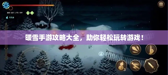 暖雪手游攻略大全，助你轻松玩转游戏！