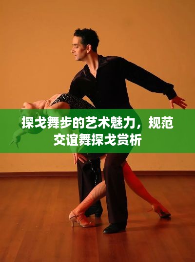 探戈舞步的艺术魅力，规范交谊舞探戈赏析